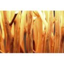 EUPHORIA - design állólámpa - bézs