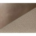 DENNING prémium szánkótalpas étkezőszék - beige