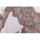 UNIQUE PLUS modern bővíthető étkezőasztal - 160-200cm