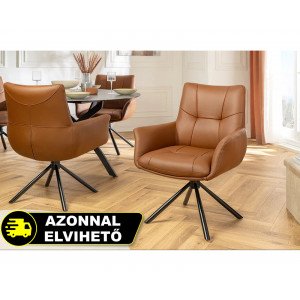 SIGNATURE design forgatható szék - valódi bőr - barna INVICTA